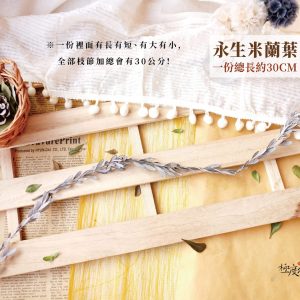 規格_永生米蘭葉 拷貝