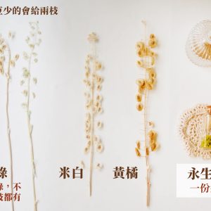 規格_永生翠扇