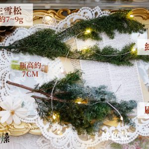 規格_永生雪松 拷貝