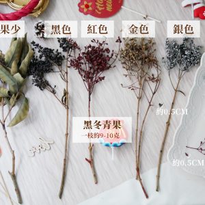 規格_永生黑冬青果 拷貝