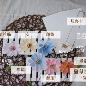 規格_波斯橘 拷貝