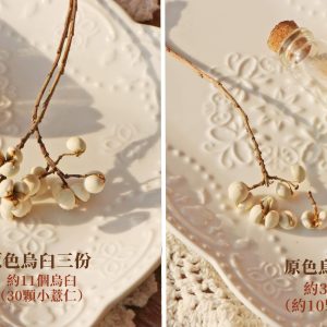 規格_烏臼 拷貝