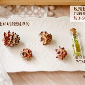 規格_玫瑰松果 拷貝