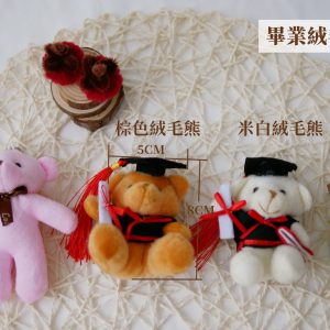 規格_畢業絨毛小熊 拷貝