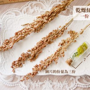 規格_紅高粱 拷貝