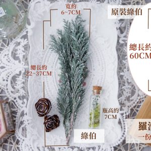 規格_羅漢伯 拷貝