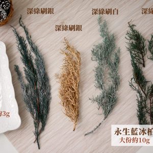 規格_藍冰柏 拷貝