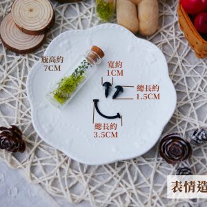 規格_表情造型配件 拷貝