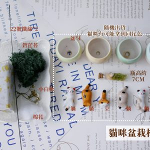 規格_貓咪盆栽材料包 拷貝