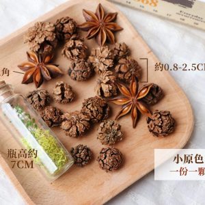 規格_足球果 拷貝