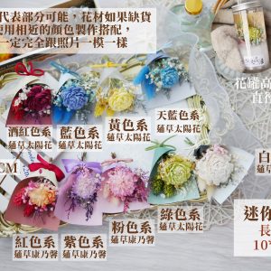 規格_迷你乾燥花束 拷貝