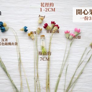 規格_開心果花 拷貝