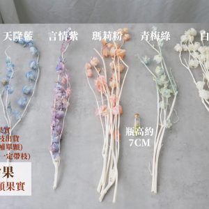 規格_風鈴果 拷貝