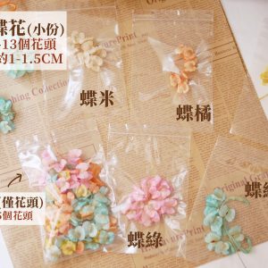 規格二 _蝴蝶花
