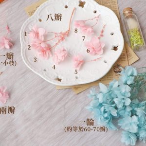 規格份量 拷貝_重瓣繡球