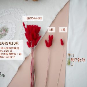 規格份量_整包兔尾草 拷貝