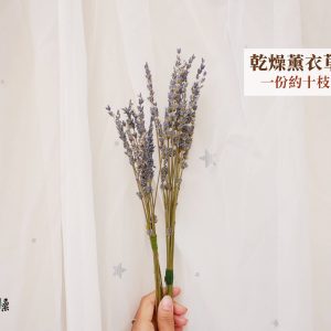 規格單選_薰衣草 拷貝