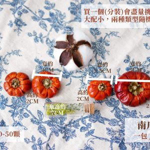 規格官網版_南瓜茄 拷貝