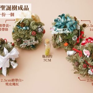 規格成品_諾貝松聖誕樹成品 拷貝