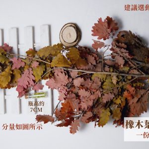 規格混色_整包橡木葉 拷貝