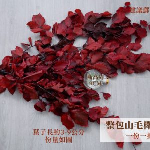 規格紅色_整包永生山毛櫸 拷貝