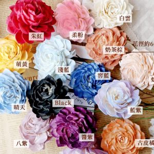 規格色_蓪草大理花 拷貝