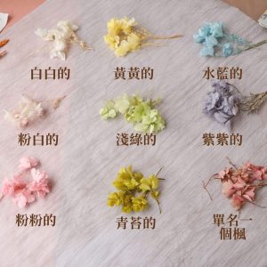 規格顏色 _重瓣繡球