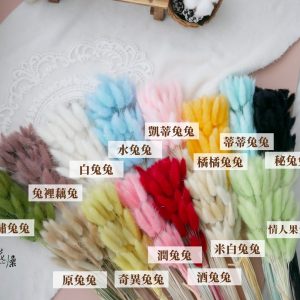 規格顏色_整包兔尾草 拷貝