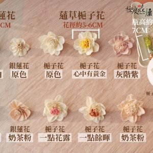 規格顏色_蓪草梔子花 拷貝