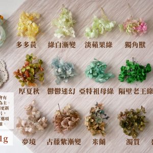 規格顏色冷色一_繡球 拷貝