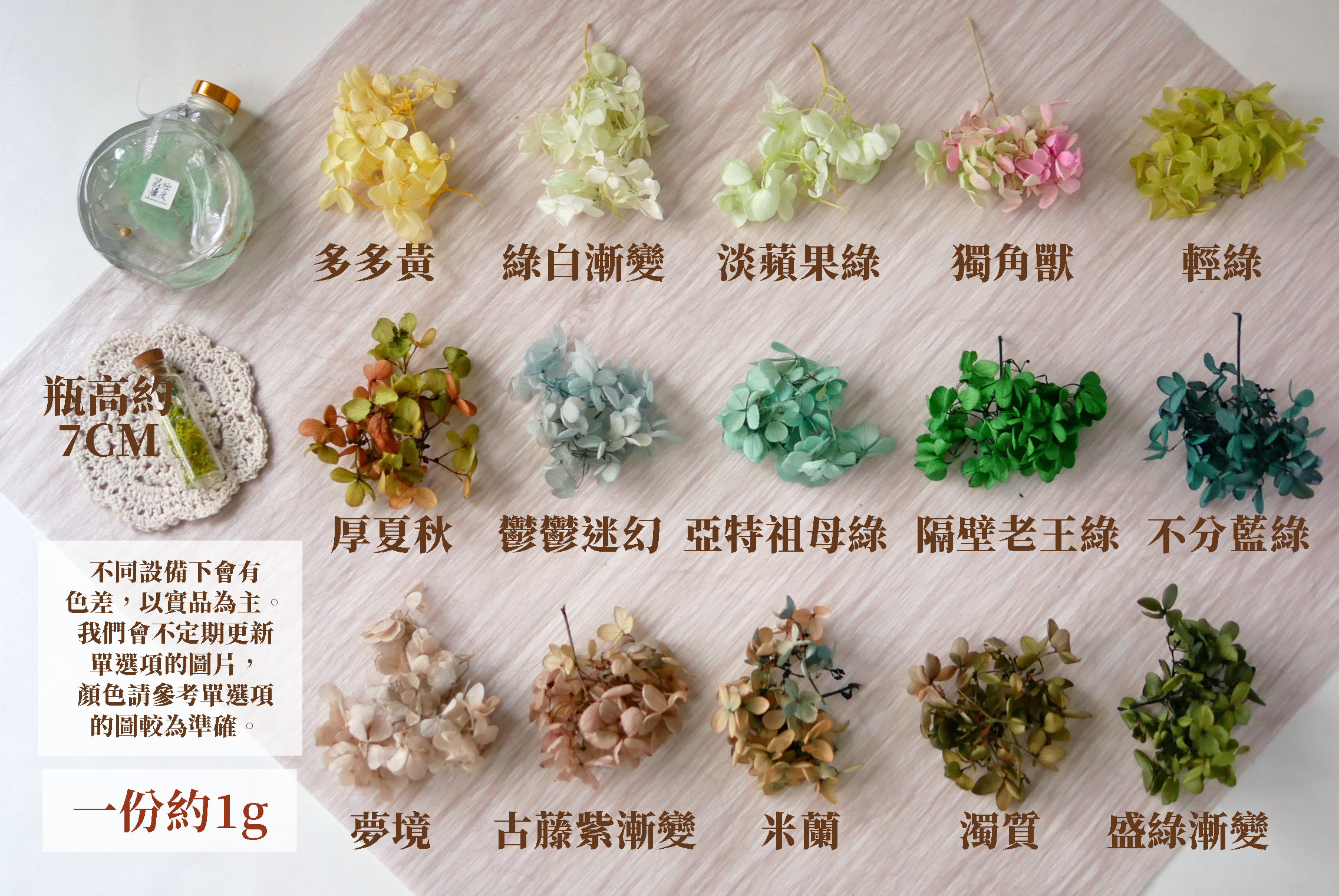 規格顏色冷色一_繡球 拷貝