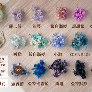 規格顏色冷色二_繡球 拷貝