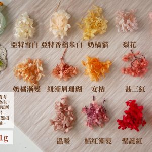 規格顏色暖一_暖色繡球 拷貝