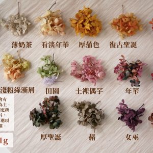 規格顏色暖二_暖色繡球 拷貝