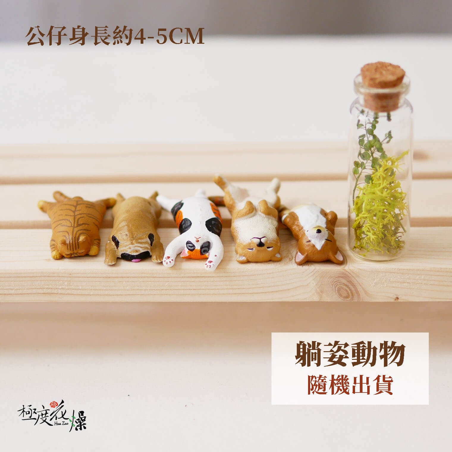 躺姿動物_貓咪公仔