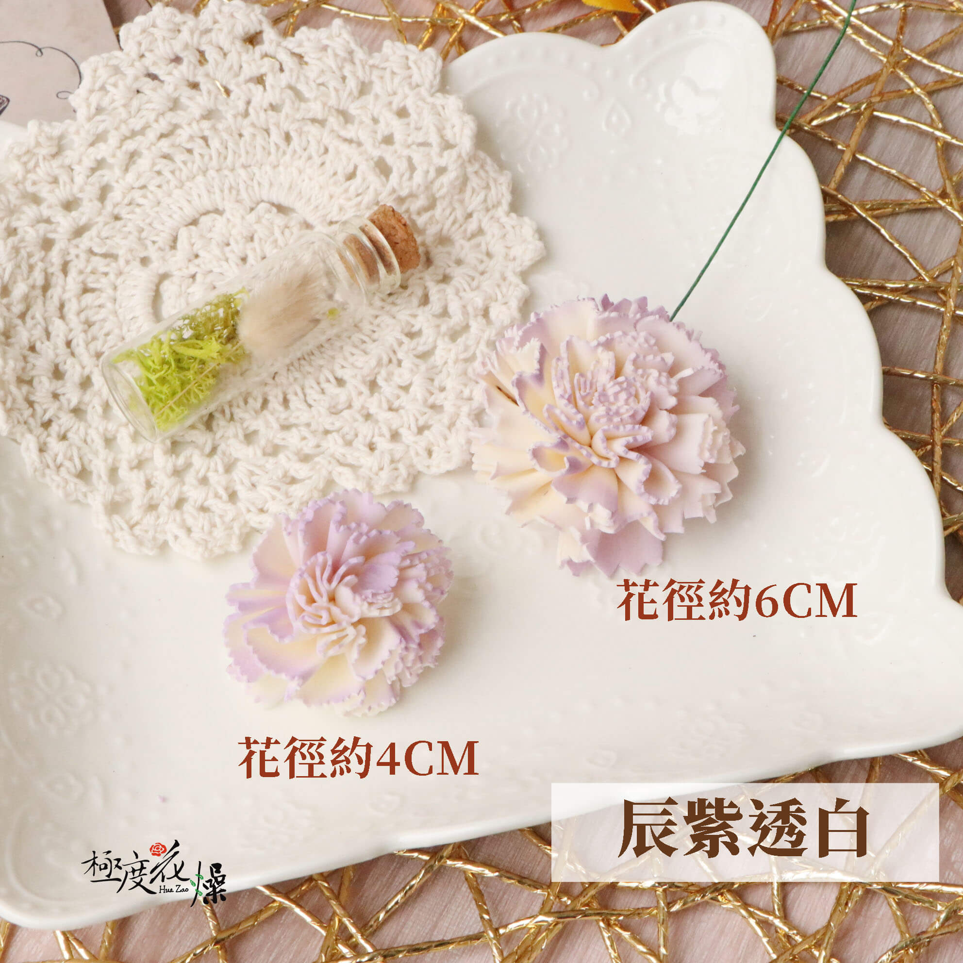 辰紫透白 _蓪草雙色康乃馨