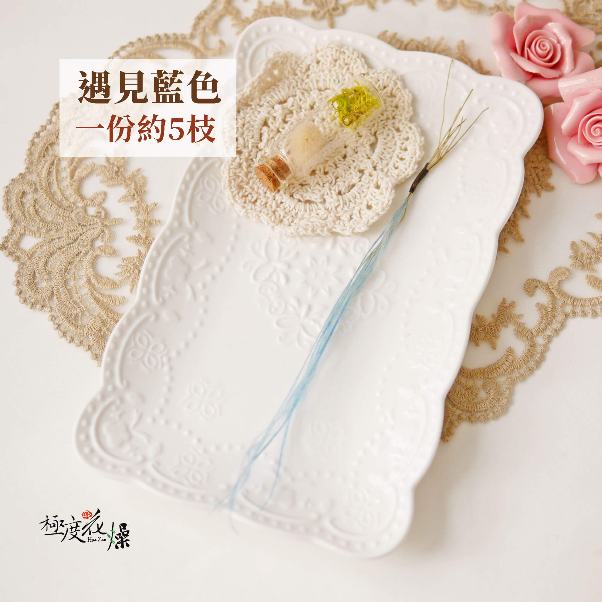 遇見藍色_乾燥羽毛草 拷貝
