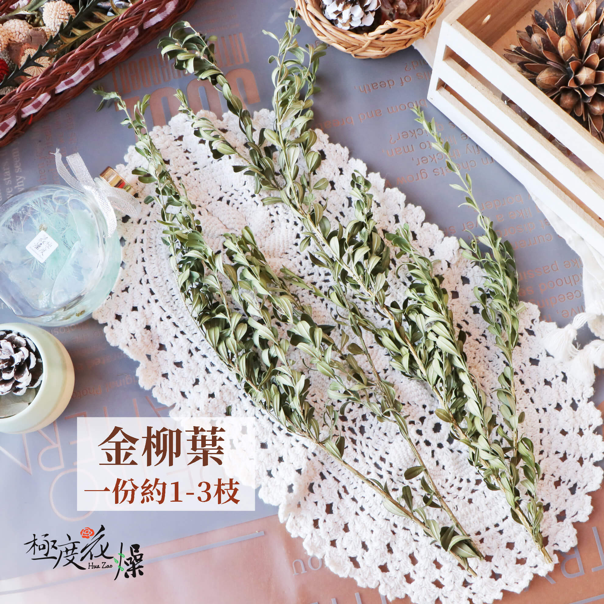 金柳葉單選項 _金柳葉