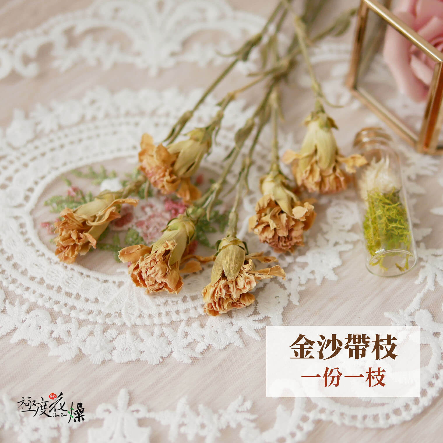 金沙_乾燥康乃馨 拷貝