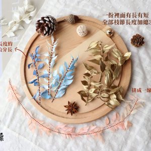 長度圖 _永生富貴葉