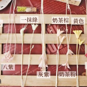 顏色_八角花