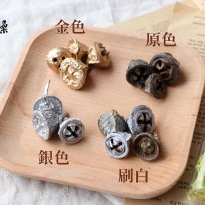 顏色 _尤加利果