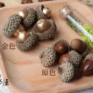 顏色 _橡實