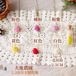 顏色_2.5太陽玫瑰
