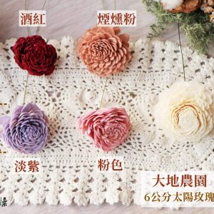 顏色_6太陽玫瑰