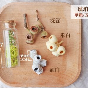 顏色_大小_琥珀果 拷貝