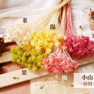 顏色_小山花_小山花 拷貝