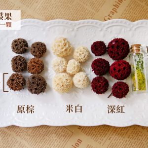 顏色_楓葉果 拷貝
