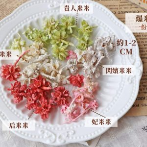 顏色_爆米花 拷貝