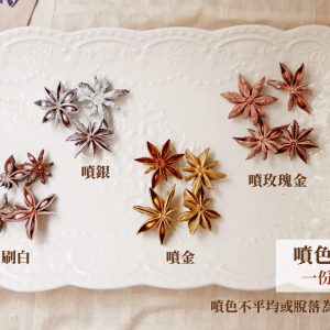 顏色二_八角 拷貝